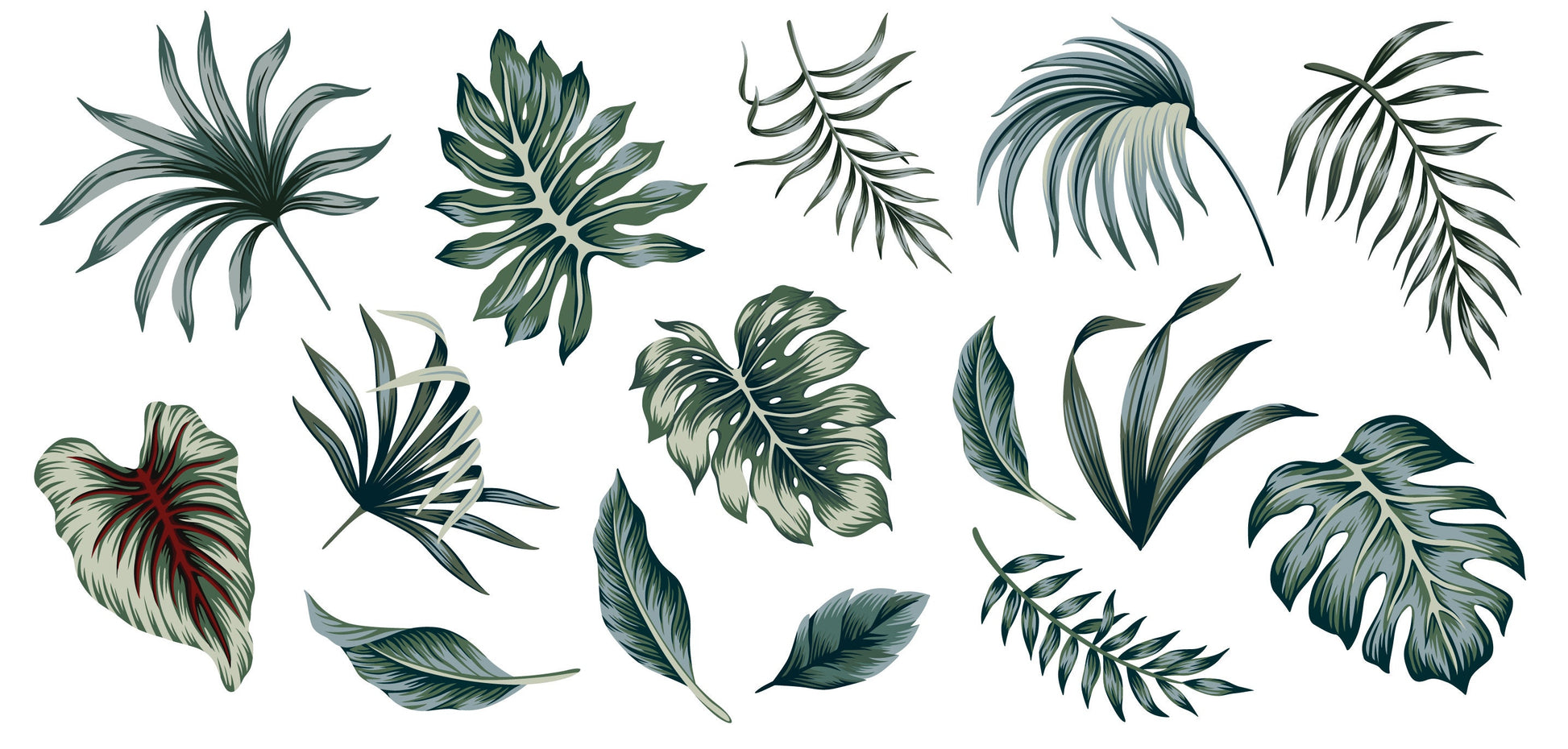 Botanical Tropical Leaf Leaves Wall Stickers Decals